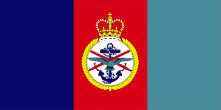 [Joint services flag]